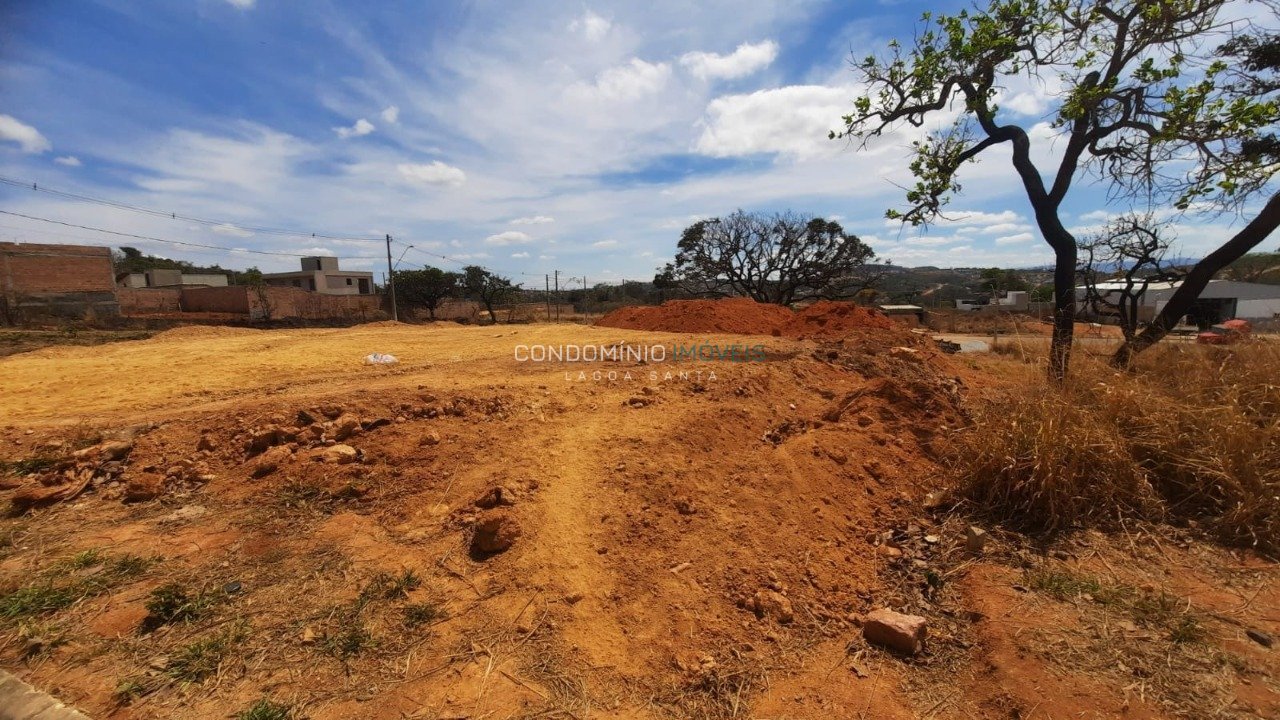 WhatsApp Image 2025-10-06 at 09.24