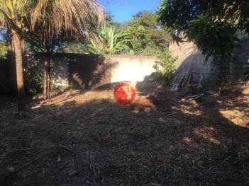 land_lot em Rua Niágara, Trevo - Belo Horizonte - MG