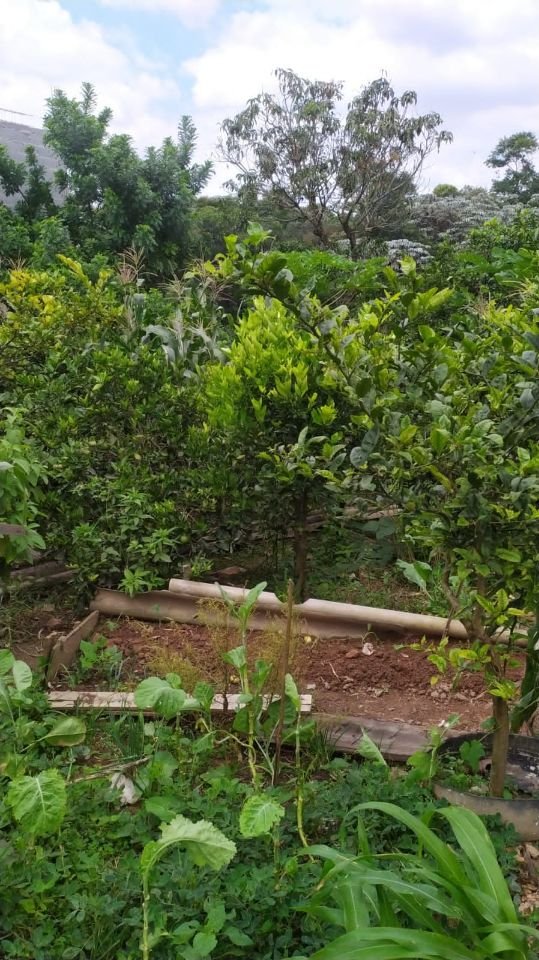 foto_certa_migr - 3