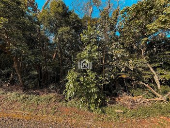 land_lot em Rua Poá, Paisagem Renoir - Cotia - SP