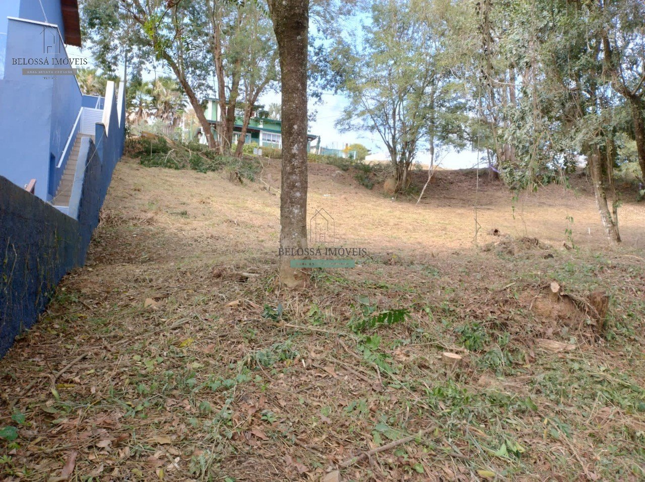 Foto 02