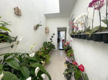 house em Marcelino Simas, Estreito - Florianópolis - SC