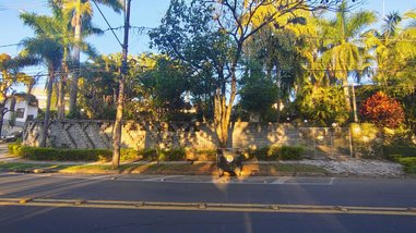 land_lot em Avenida Domingos Júlio, Parque Campolim - Sorocaba - SP