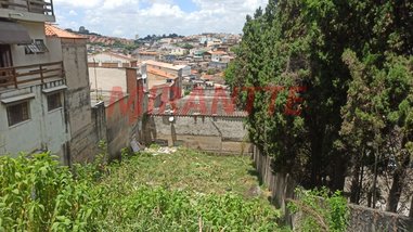 land_lot em Rua Blas do Prado, Vila Dona Augusta - São Paulo - SP