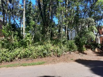 land_lot em Rua Carriere, Planalto - Gramado - RS
