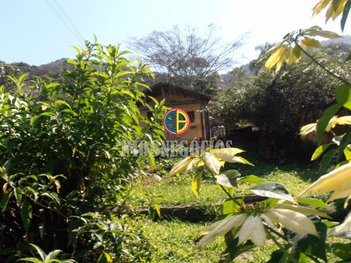 agricultural em Rodovia Índio Tibiriçá, Palmeiras de São Paulo - Suzano - SP