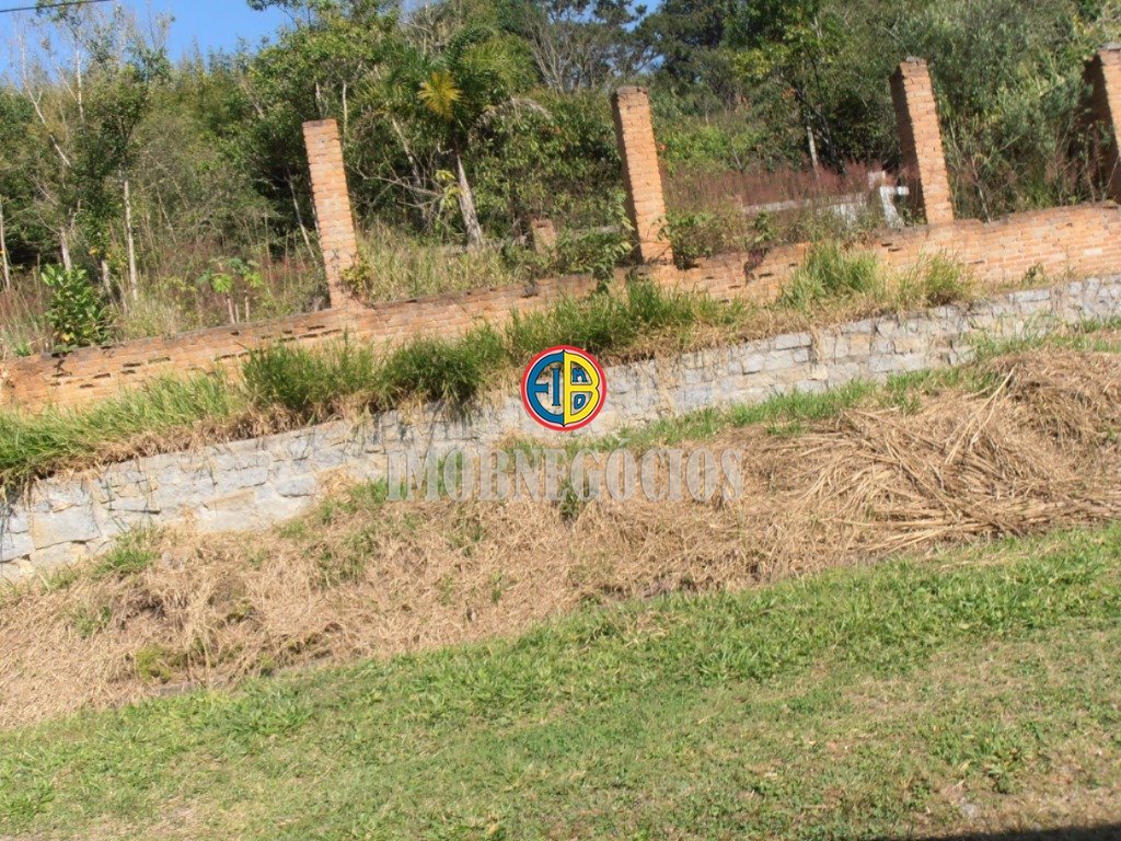 P1010040
