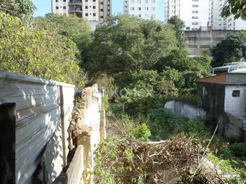 land_lot em Rua Mateus Leme, Água Fria - São Paulo - SP