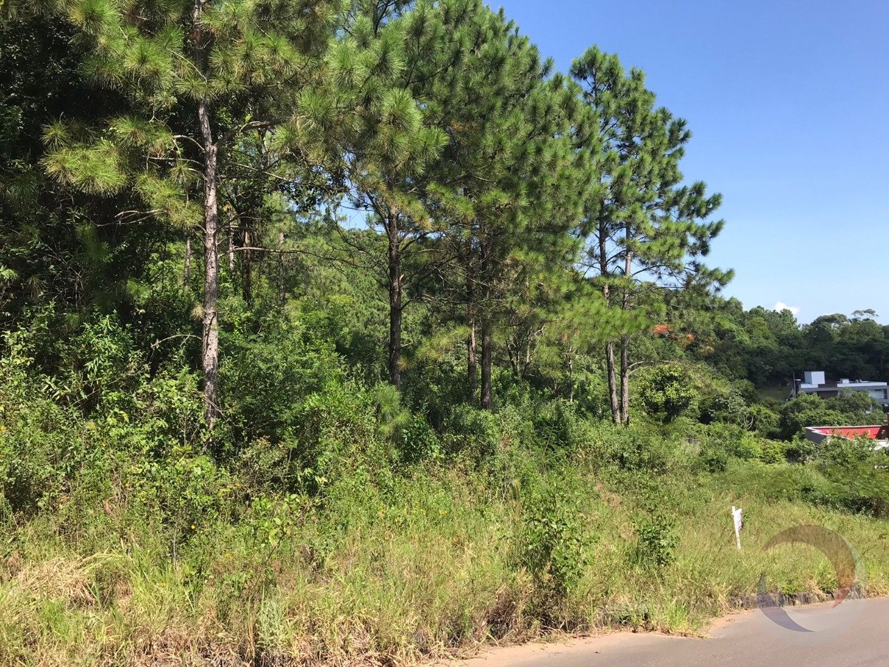 WhatsApp Image 2024-02-08 at 10.06