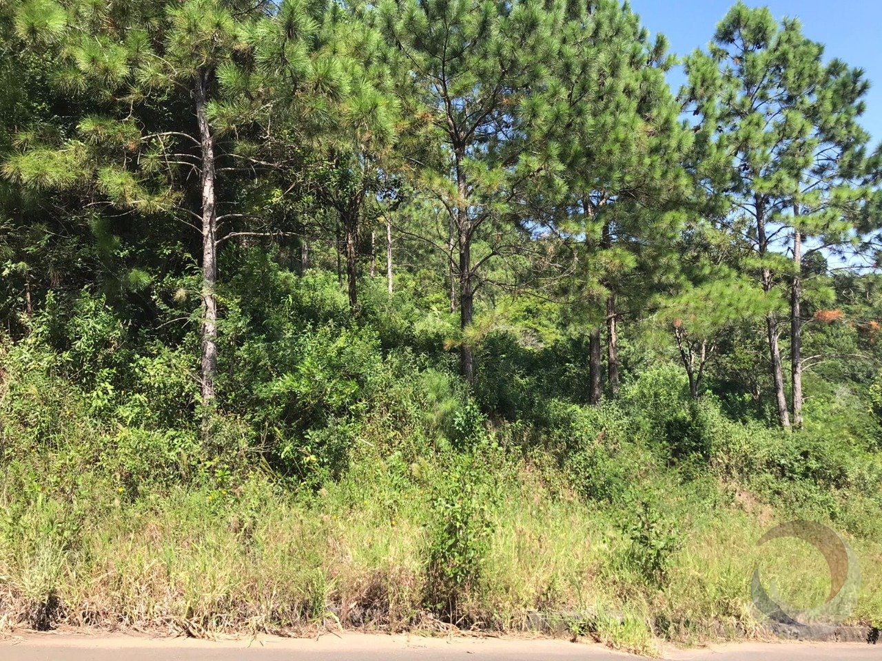 WhatsApp Image 2024-02-08 at 10.06