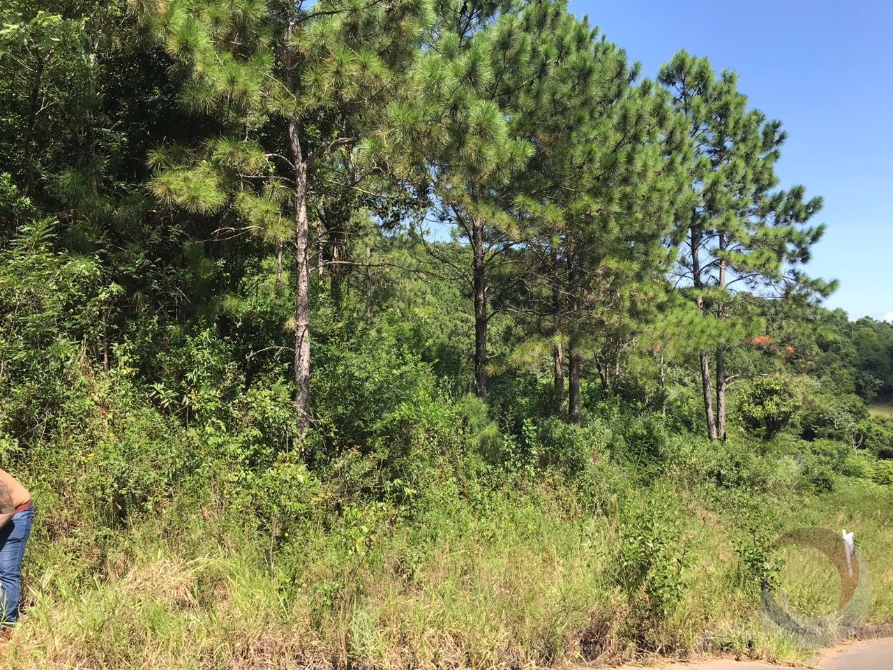 WhatsApp Image 2024-02-08 at 10.06