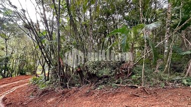 land_lot em Rua Planície Alta, Planície Alta - Guabiruba - SC