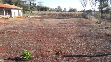 land_lot em Rodovia Mábio Gonçalves Palhano, Gleba Fazenda Palhano - Londrina - PR