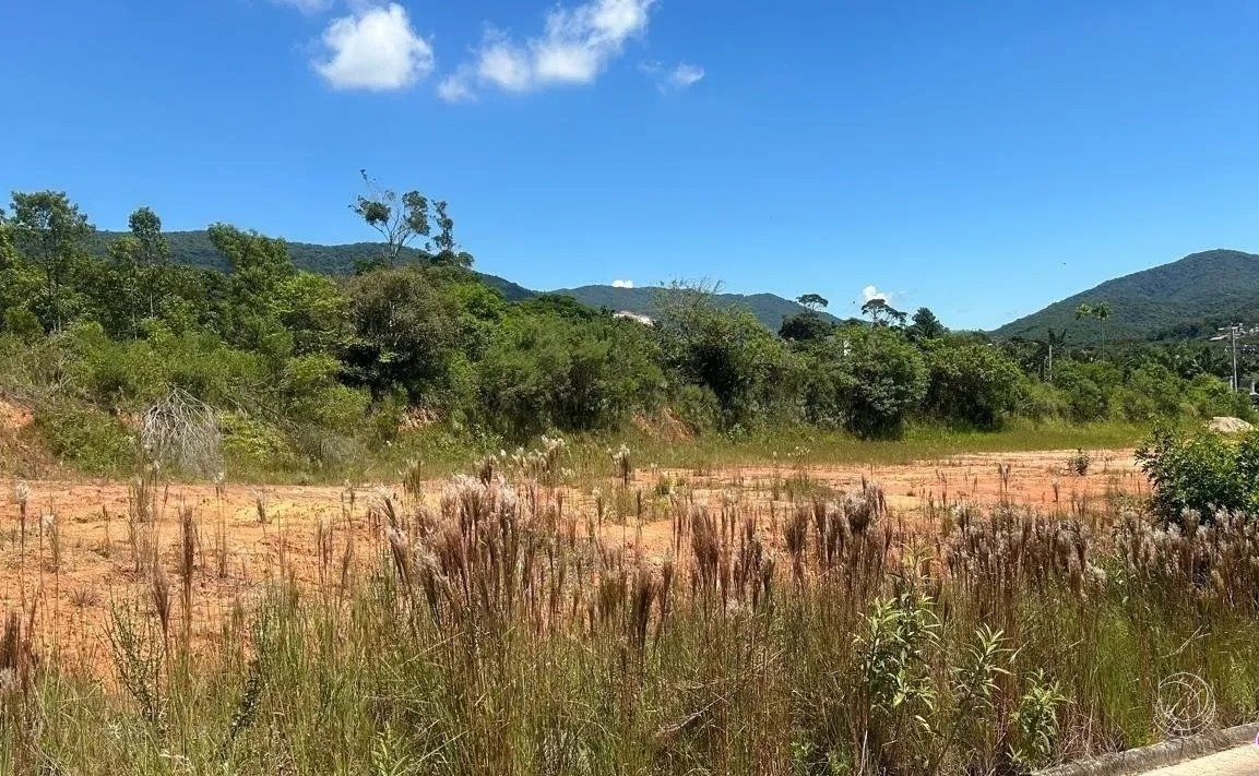 terreno 3
