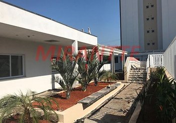 apartment em Rua Vicente Ferreira Leite, Vila Siqueira (Zona Norte) - São Paulo - SP
