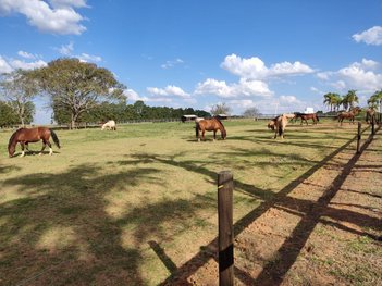 agricultural em Estrada Municipal José Correa de Moraes, Chapada Grande - Itapetininga - SP