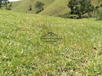 agricultural em Rodovia Paulo Virginio, Sape - Cunha - SP