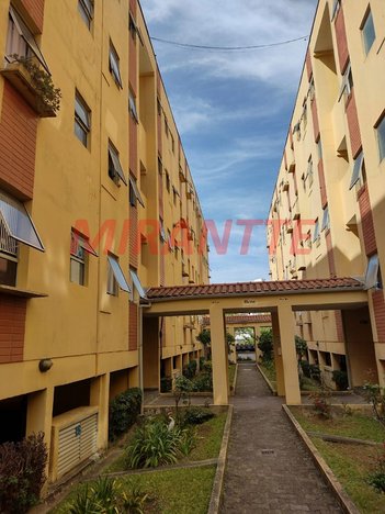 apartment em Rua Judith Zumkeller, Parque Mandaqui - São Paulo - SP