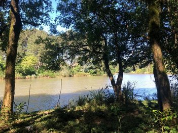 commercial_building em Rua Jordão, São Cristóvão - Guarapuava - PR
