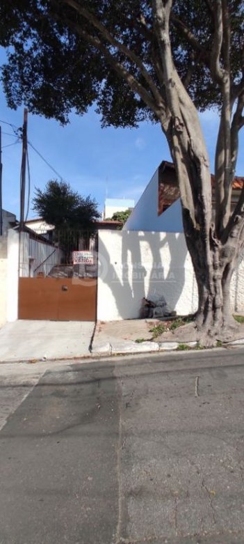 house em Rua Almeria, Vila Granada - São Paulo - SP