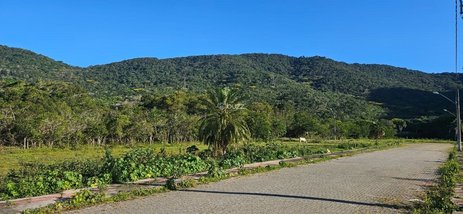 land_lot em Rodovia Baldicero Filomeno, Ribeirão da Ilha - Florianópolis - SC