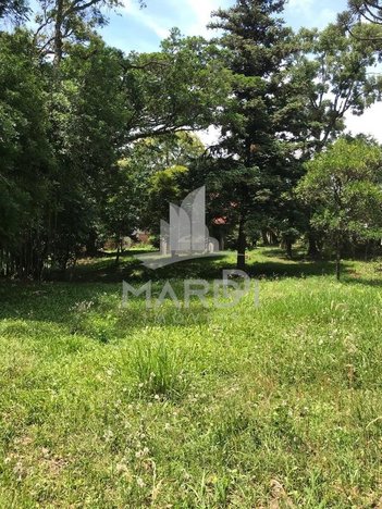 land_lot em Pedra Redonda, Jardim Isabel - Porto Alegre - RS