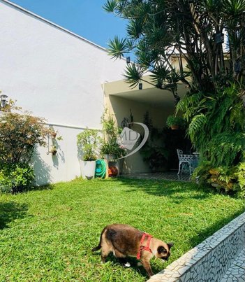 house em Rua Nossa Senhora de Fátima, Santa Paula - São Caetano do Sul - SP