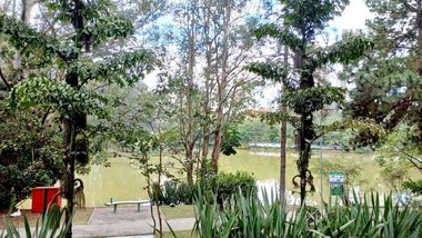 house em Avenida Jequitibá, Tamboré - Santana de Parnaíba - SP