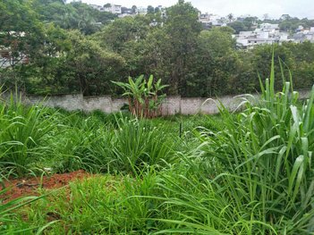 land_lot em Alameda das Cotovias, Cabral - Contagem - MG
