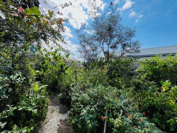 land_lot em Rua Professor José Salles, Terras de Piracicaba - Piracicaba - SP