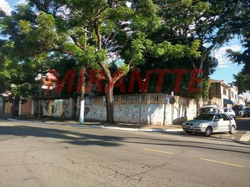 land_lot em Caçador, Vila Paiva - São Paulo - SP