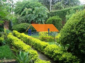 land_lot em Olinda Ferreira Lopes, Santa Amélia - Belo Horizonte - MG