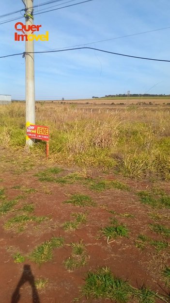 commercial_land_lot em Marginal da Rodovia Abrão Assed, Santa Iria - Ribeirão Preto - SP