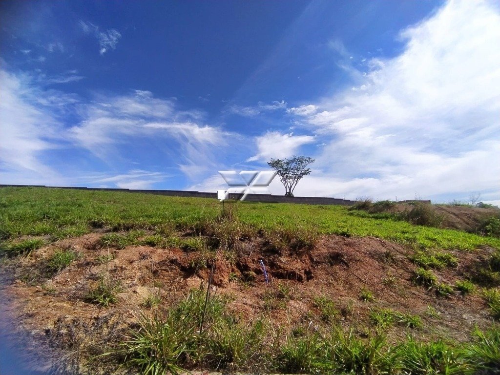 Vista do lote