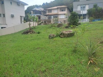 land_lot em Rua Senador Mafra, Santo Antônio de Lisboa - Florianópolis - SC