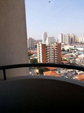 apartment em Avenida Zelina, Vila Zelina - São Paulo - SP