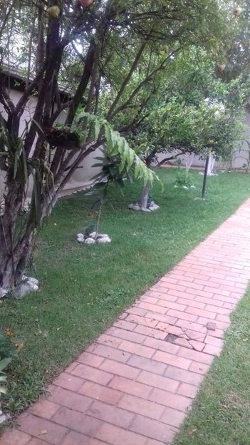 house em Rua Cambará, Novo Eldorado - Contagem - MG