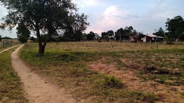 agricultural em Beco Sítio Colares, Águas Claras - Viamão - RS