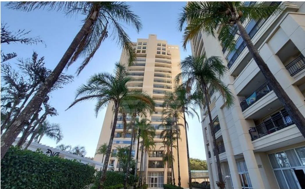 WhatsApp Image 2025-11-13 at 16.46