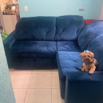 apartment em Rua Francesco Usper, Conjunto Habitacional Teotonio Vilela - São Paulo - SP