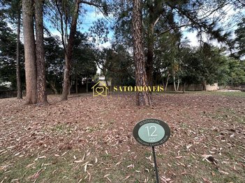 land_lot em Rua Visconde de Porto Seguro, Jardim dos Estados - São Paulo - SP