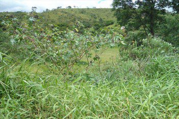 land_lot em Avenida Brasil, Jardim São Luís - Santana de Parnaíba - SP