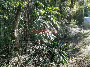 land_lot em Suiça, Santa Inês - Caieiras - SP