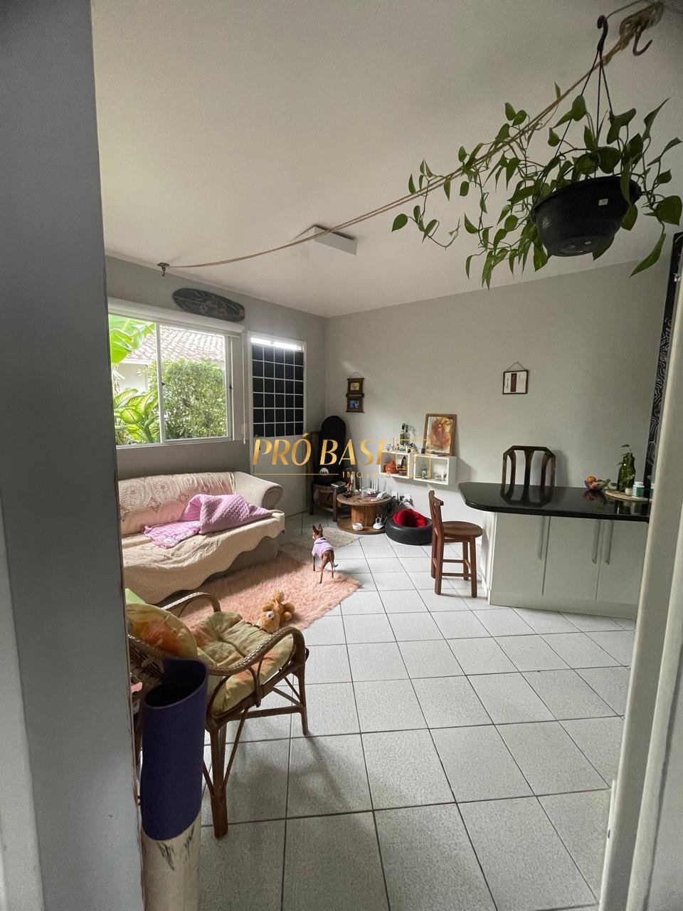 WhatsApp Image 2025-10-31 at 11.43