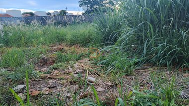 land_lot em Rua Prefeito Leopoldo Cambraia, Jardim Longatto - Mogi Mirim - SP