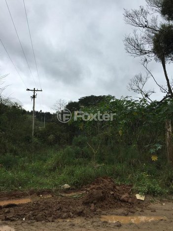land_lot em Estrada do Rincão, Belém Velho - Porto Alegre - RS