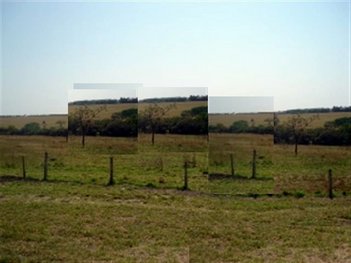 land_lot em Rodovia Washington Luiz, Parque Delta - São Carlos - SP