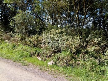 land_lot em Municipal Attílio Citton, Jardim Iracema - Caxias do Sul - RS