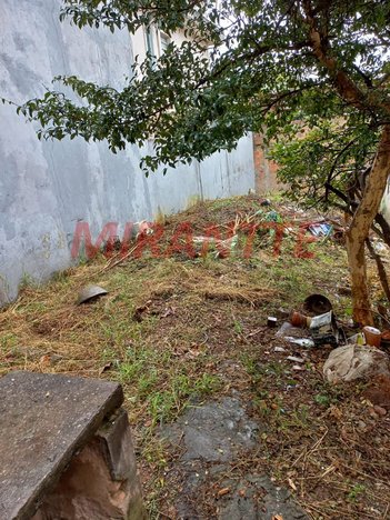 land_lot em Doutor Paulino Augusto, Vila Continental - São Paulo - SP