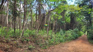 land_lot em Rua Seis, Brumadinho - Brumadinho - MG